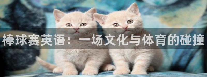 棒球赛英语：一场文化与体育的碰撞