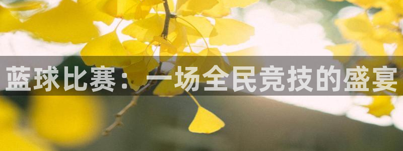 蓝球比赛：一场全民竞技的盛宴