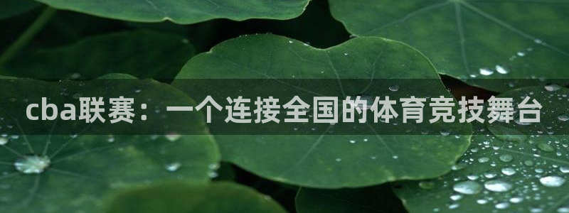 HB火博·体育官方正版手游：cba联赛：一个连接全国的体育竞