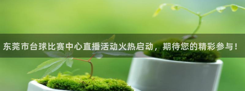 龙门体育直播在线观看