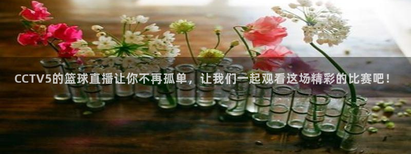 龙门直播官网：CCTV5的篮球直播让你不再孤单，让我们一起观看这场精彩的比赛吧！